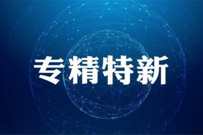 喜訊丨青島信諾邦生物榮獲“專精特新示范企業(yè)”稱號(hào)